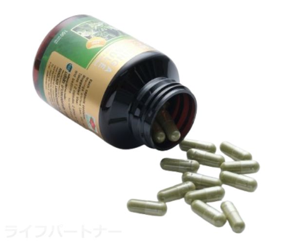 モリンガカプセル
