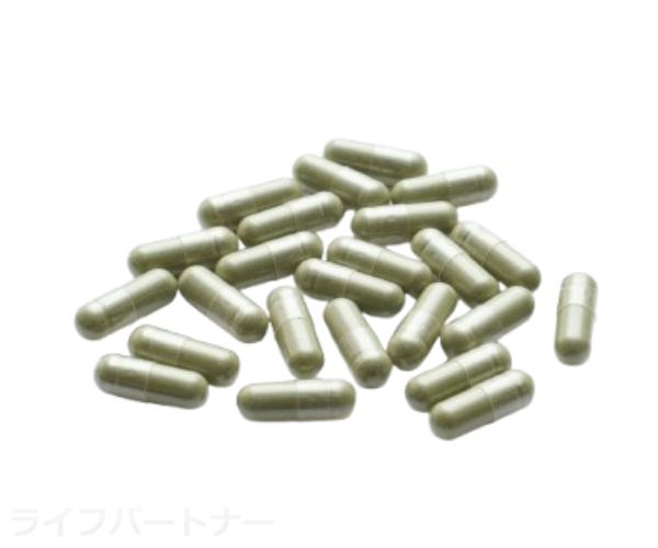 モリンガカプセル