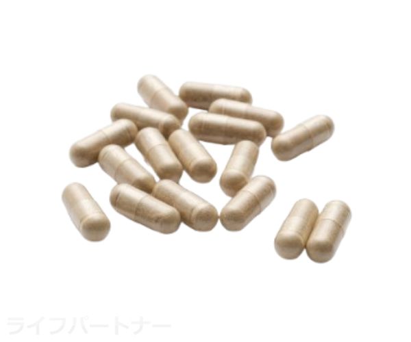 セルリッド