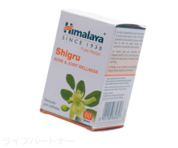 シグル