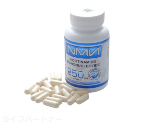 NMN(Maac10)
