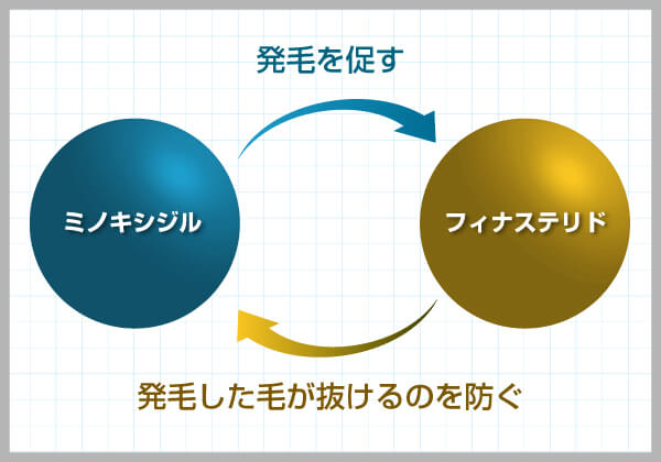 フィナステリドとミノキシジルの効果