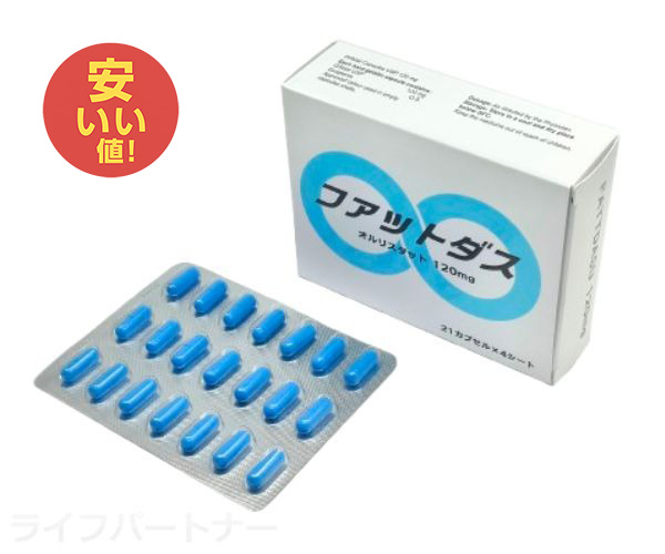 ファットダス
