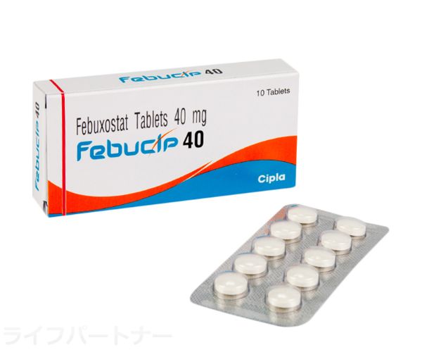 フェブシップ 80mg 50 錠