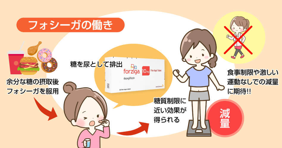 フォシーガの働き