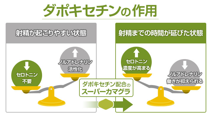 ダポキセチンの作用機序