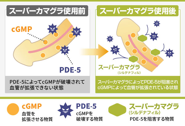 スーパーカマグラ